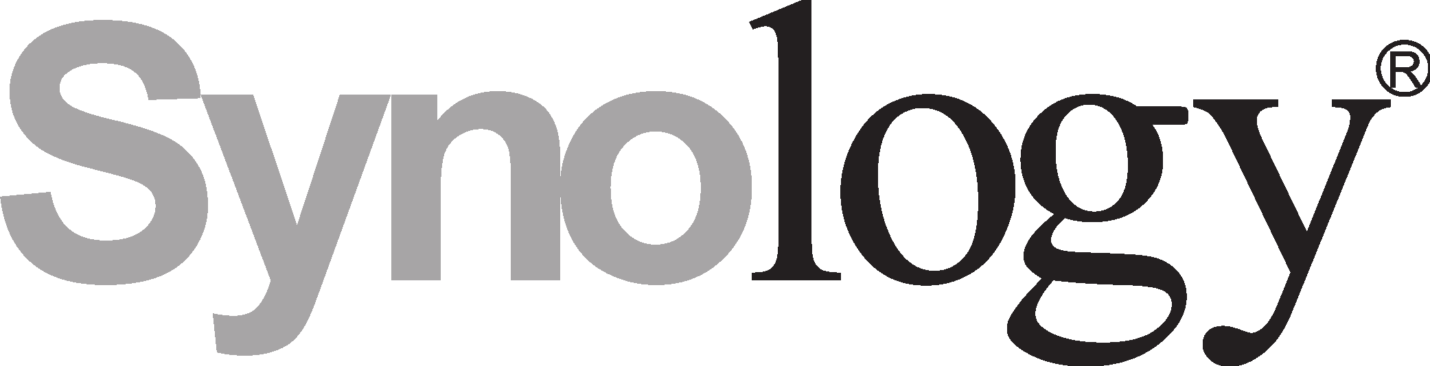 Synology Inc Logo